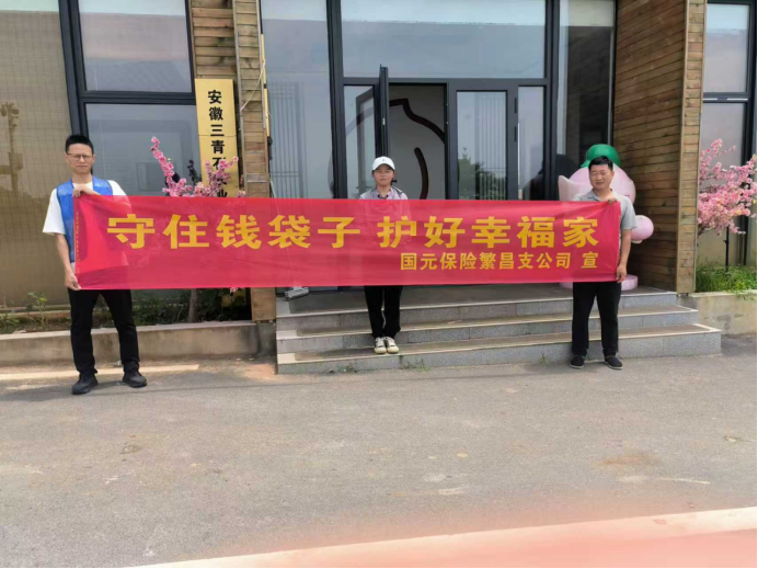 “守住钱袋子 护好幸福家”防范非法金融宣传月丨国元保险芜湖中支开展防范非法金融宣教活动